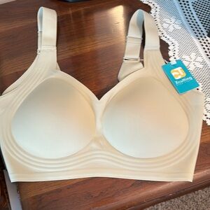 Woman’s 2XL bralette.